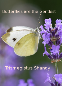 Butterflies are the Gentlest