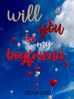 Will You be My Boyfriend [BL]