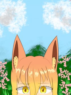 The fox atop the mountain