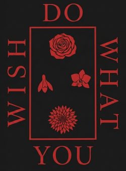 Do What You Wish