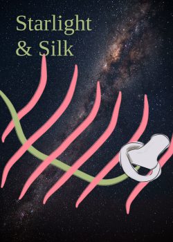 Starlight & Silk