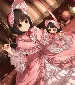 Reborn as a Doll: Striving Towards Creating My Own World-Sized Dollhouse
