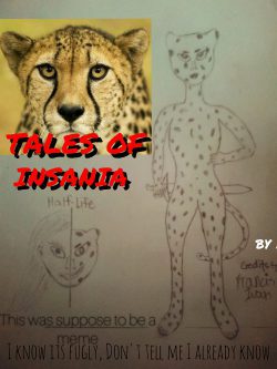 VRMMO: Tales of Insania