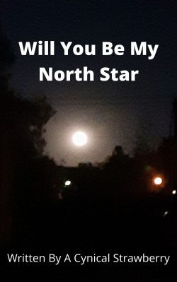 Will You Be My North Star