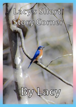 Lacy’s Short Story Corner