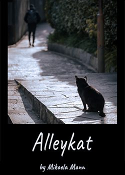 Alleykat (A Re-Gendering Story)