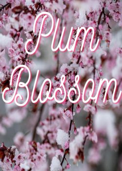 Plum Blossom [BL]