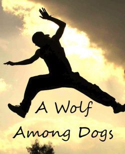 A Wolf Among Dogs
