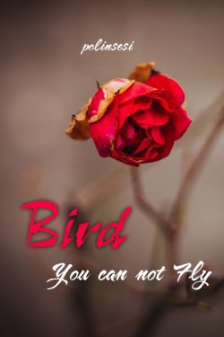 Bird You can not Fly