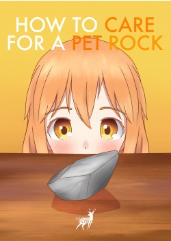 How To Care For A Pet Rock