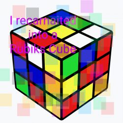 I recarnaited into a Rubiks Cube