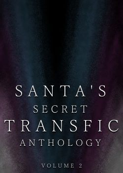 Santa’s Secret Transfic Anthology Vol. 2