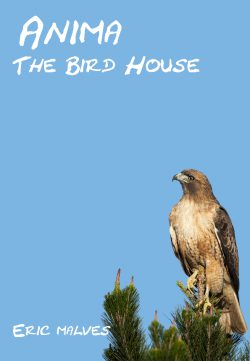 Anima: The Bird House