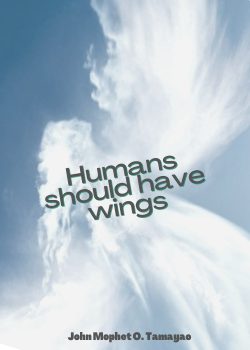 Human should have wings