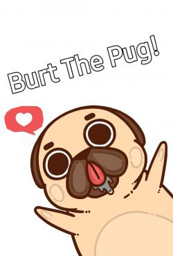 Burt The Pug!