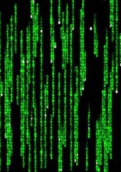 [FANFICTION: The Matrix] Compelled to Disobey