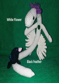 White Flower, Black Feather