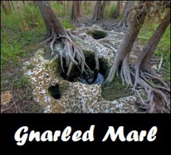 The tale of Gnarled Marl
