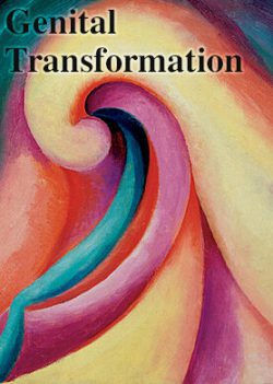 Genital Transformation: A Short Story Collection