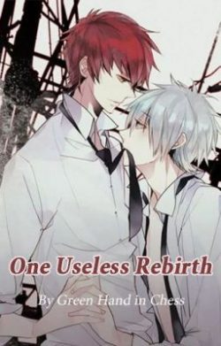 One Useless Rebirth (BL)