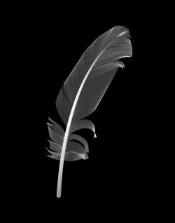 Veined Feather