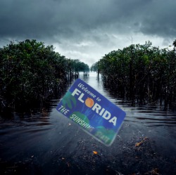 Downpour: Florida