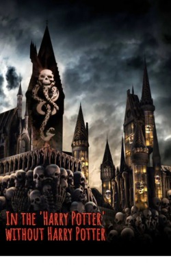 In the Harry Potter Without Harry Potter