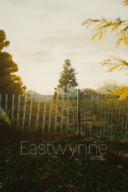 Eastwynne (The Consequence of Gods: Book 1)
