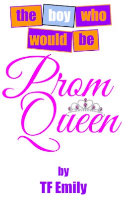 The Boy Who Would Be Prom Queen