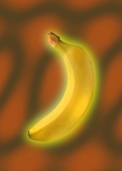 Bananisekai: Banana Life in Another World!