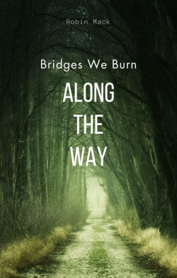 Bridges We Burn Along the Way