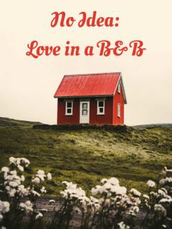 No Idea: Love in a B&B