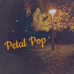 Petal Pop: Wings & Roses