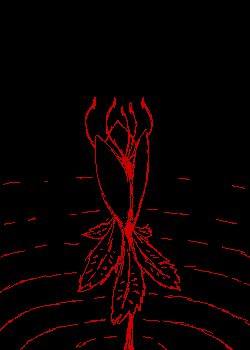 Moonflower | Scribble Hub