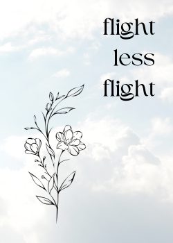 flightless flight
