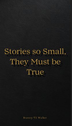 Stories So Small, They Must Be True