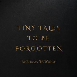 Tiny Tales To Be Forgotten