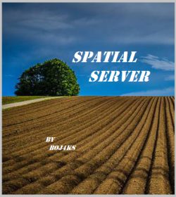 Spatial Server