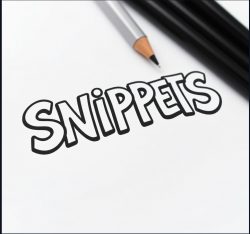 IdleMuse’s Snippets