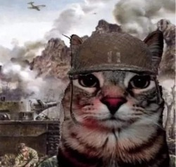 Echoes of Valor: From Trenches to the Unkown