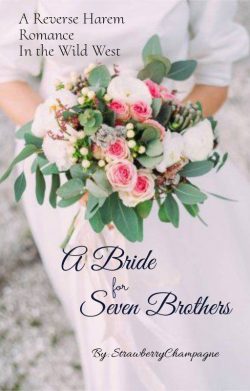 A Bride for Seven Brothers