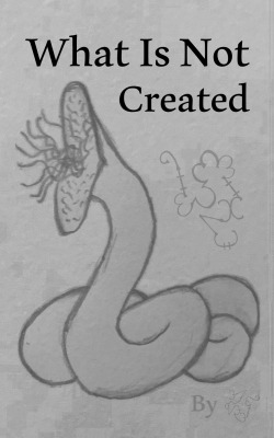 What Is Not Created (book 1 complete, book 2 pending)