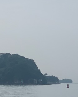 The Silk Sea