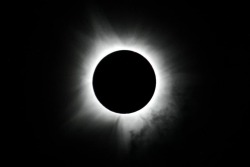 Fang Worlds Beyond Scribble Hub