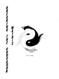 Breaking the Cultivation Matrix (Xianxia)