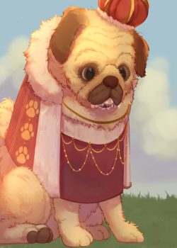 Pug’s Journey