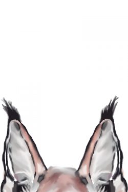 Scrap Cat Spirit (SCS + Spirit Beast Evolution!)