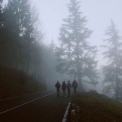 Inheritance