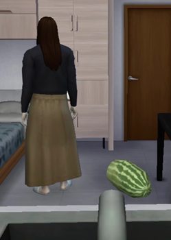 Story of Sister Hong | Scribble Hub