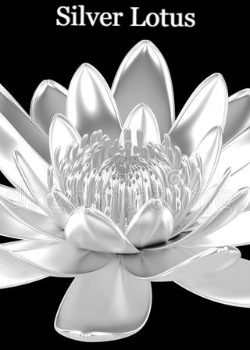 Silver Lotus